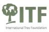 ITF Logo